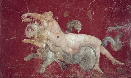 Nereid astride a sea tiger, from Stabiae, before 79 AD